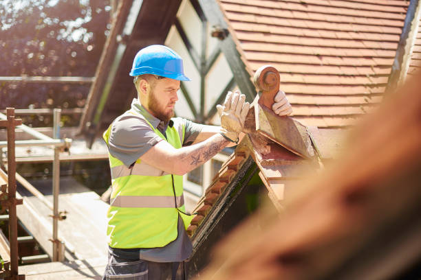 Best Roof Maintenance Services  in Salineville, OH